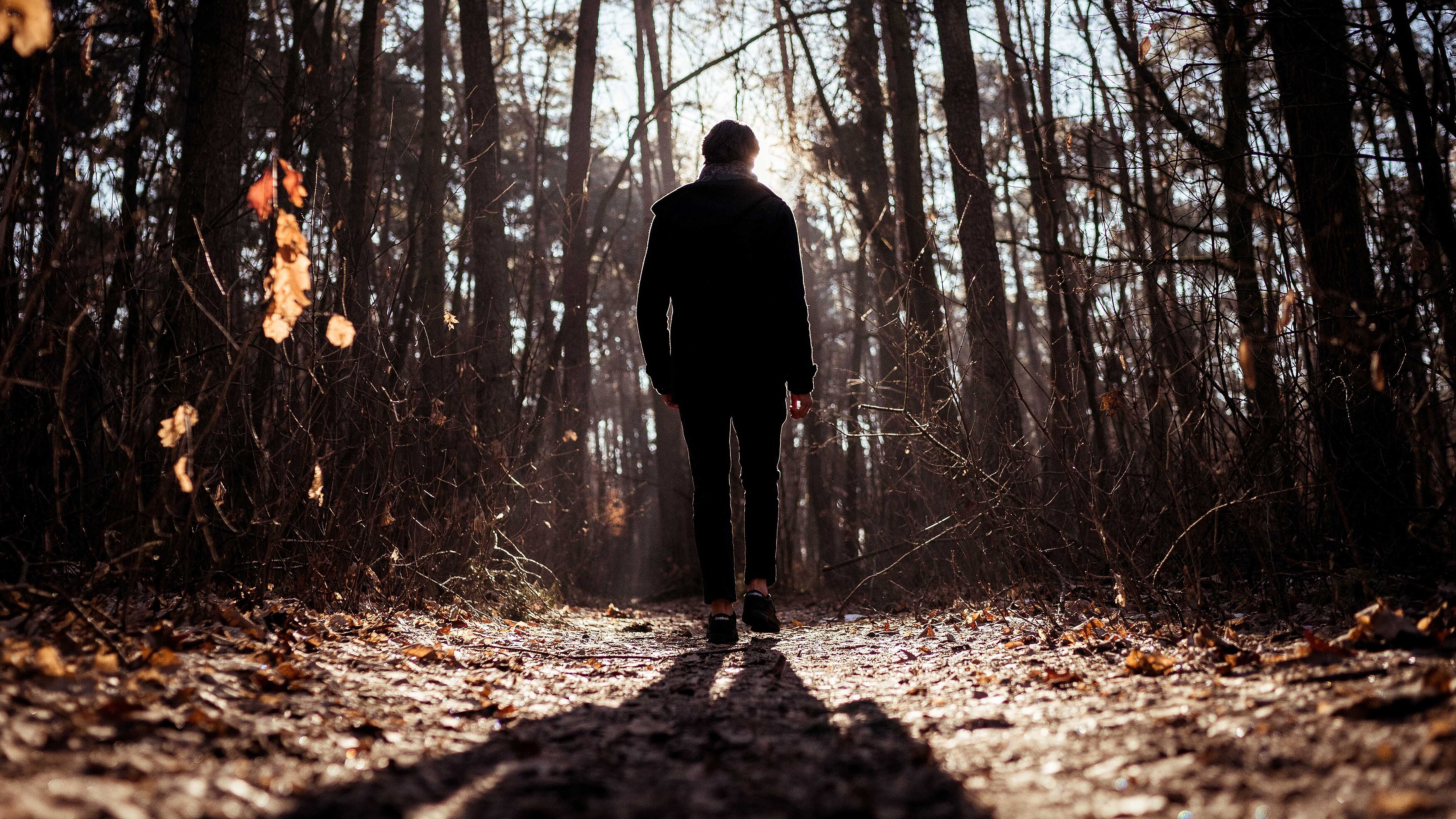 Ein Mann, der alleine einen Waldweg entlanggeht und sich von der Kamera entfernt.