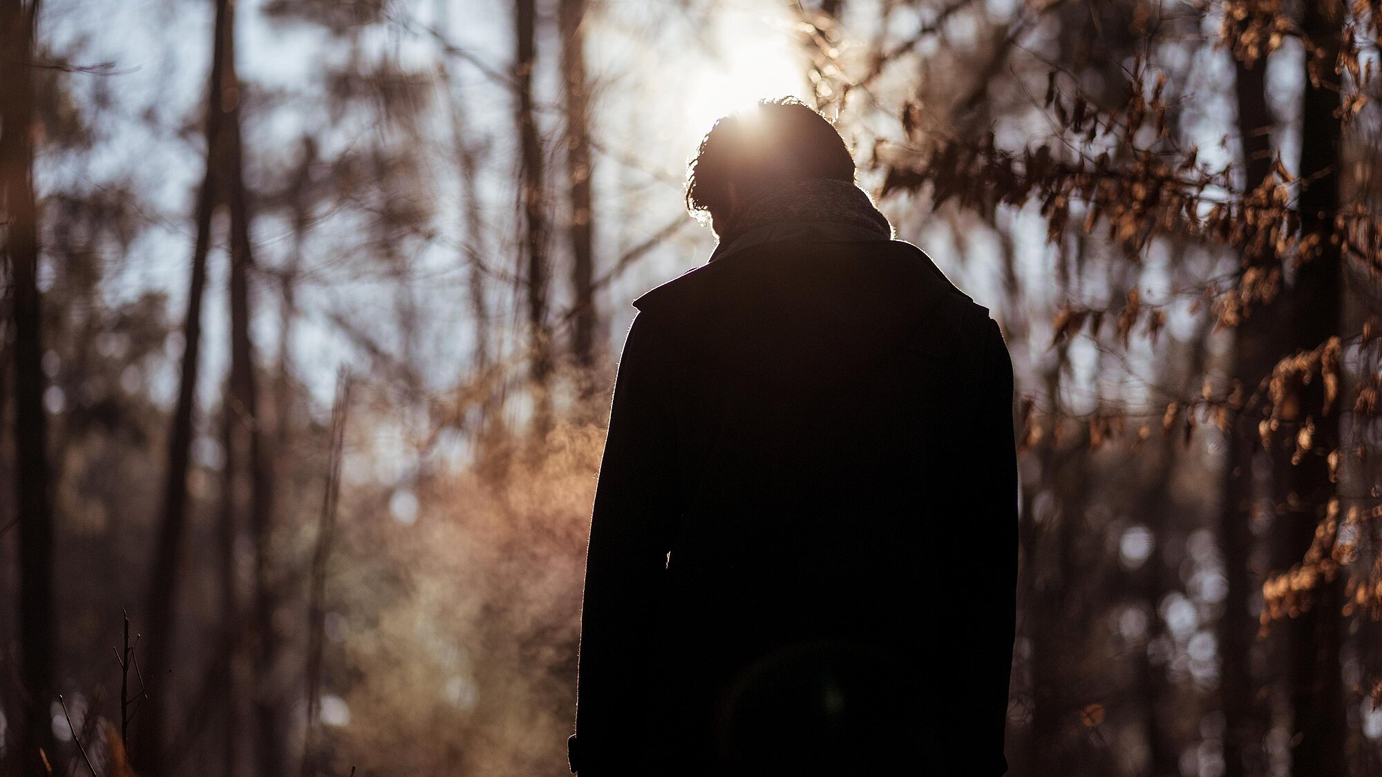 Die Silhouette eines Mannes, der mit gesenktem Kopf im Wald steht.