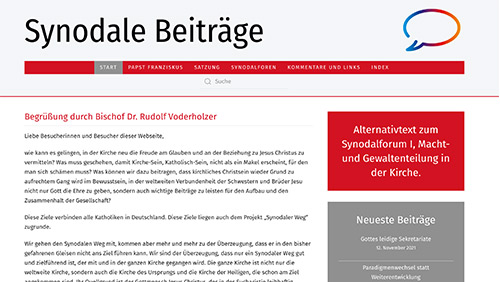 Synodale Beiträge Webseite